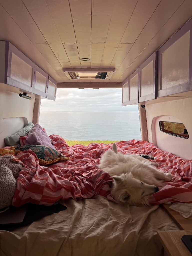 Image of a bed in a van with a dog - eight day road trip Scotland NC500